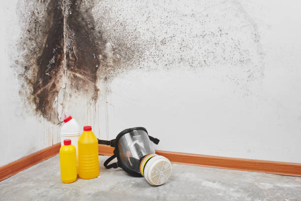 Best Crawl Space Mold Removal  in Midlothian, VA