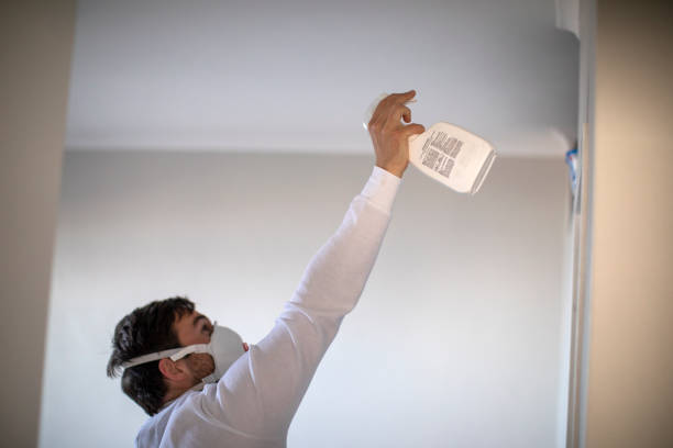  Midlothian, VA Mold Removal Pros