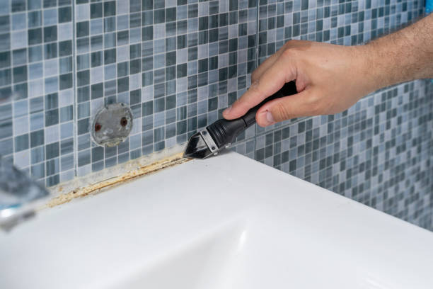 Best Office Mold Removal Services  in Midlothian, VA