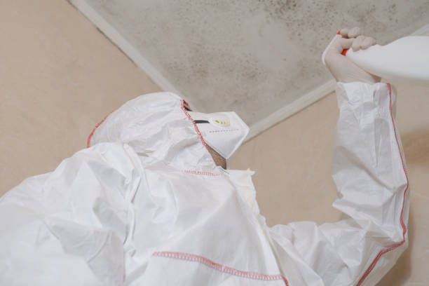 Best Local Mold Removal Service  in Midlothian, VA