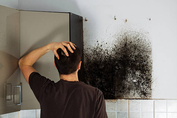 Best Office Mold Removal Services  in Midlothian, VA